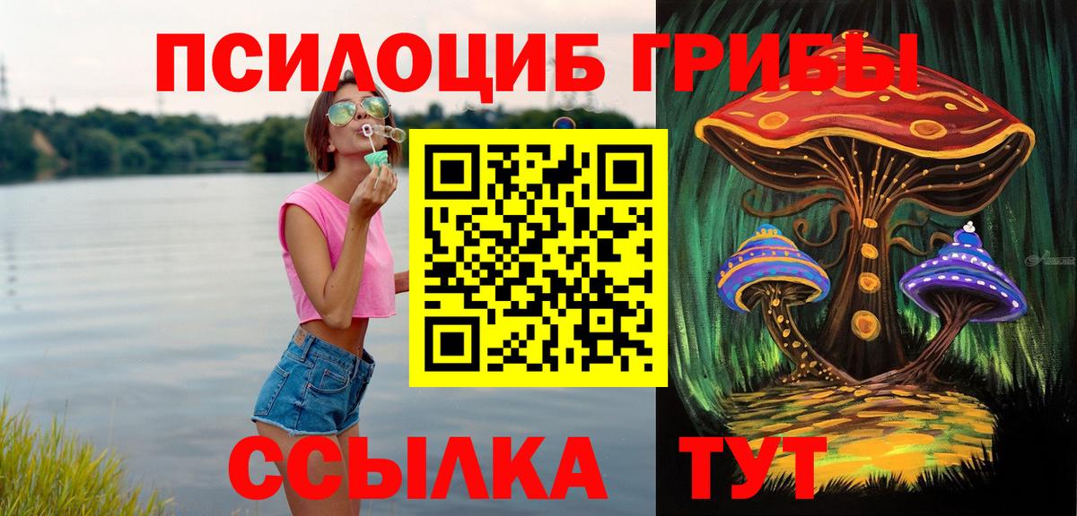 Галлюциногенные грибы ЛСД  Вход с VPN  Углич  цена   Псилоцибиновые грибы Psilocybine cubensis 