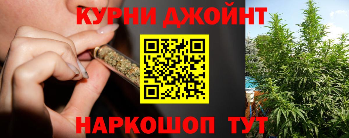 Каннабис планчик Углич